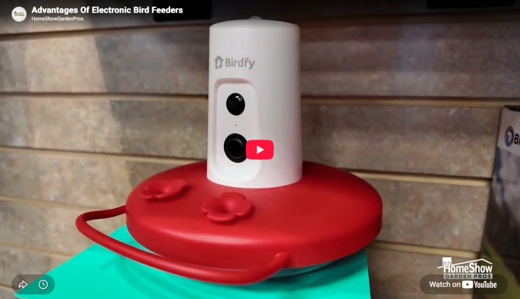 Electronic Bird Feeders