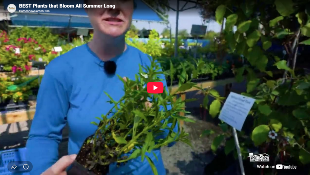 Plants that Bloom All Summer Video