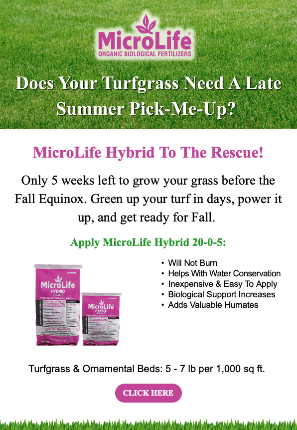 Microlife Ad