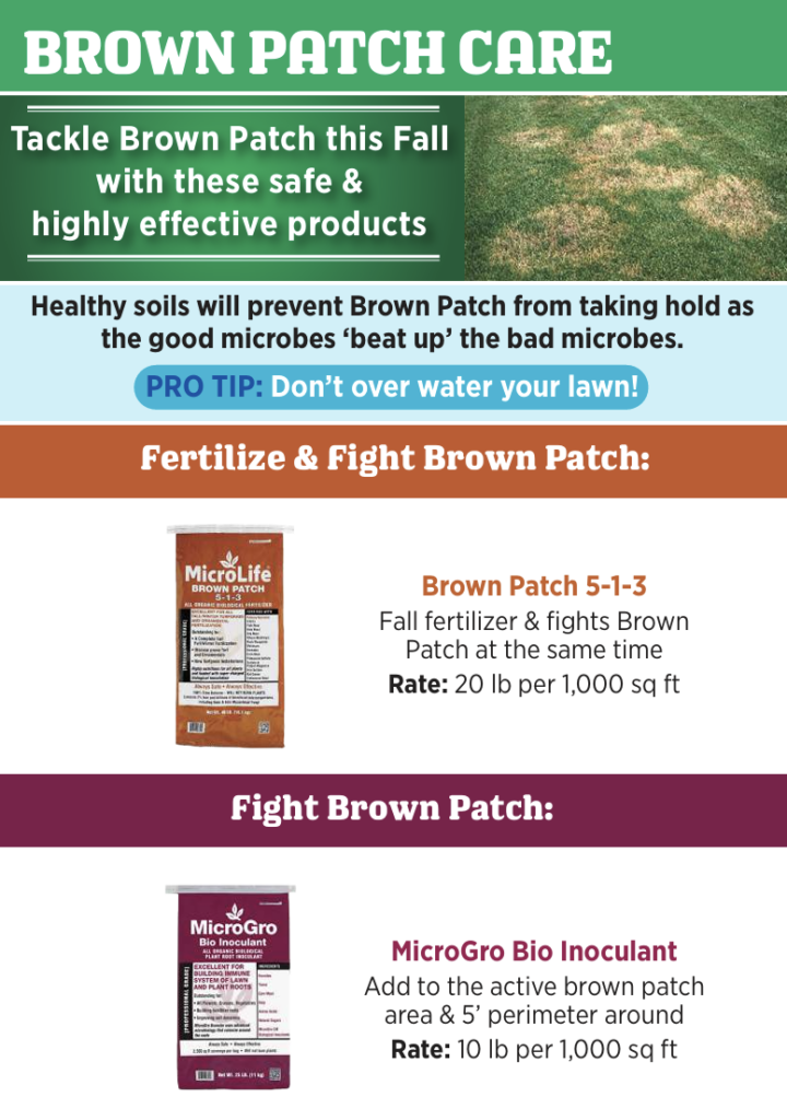 Brown Patch Care Guide