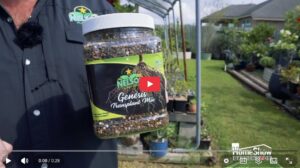 Best Product for Plant Transplants