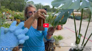 Sexy Plant Juice Treatment Video