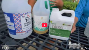 How to Make Sexy Plant Juice Video