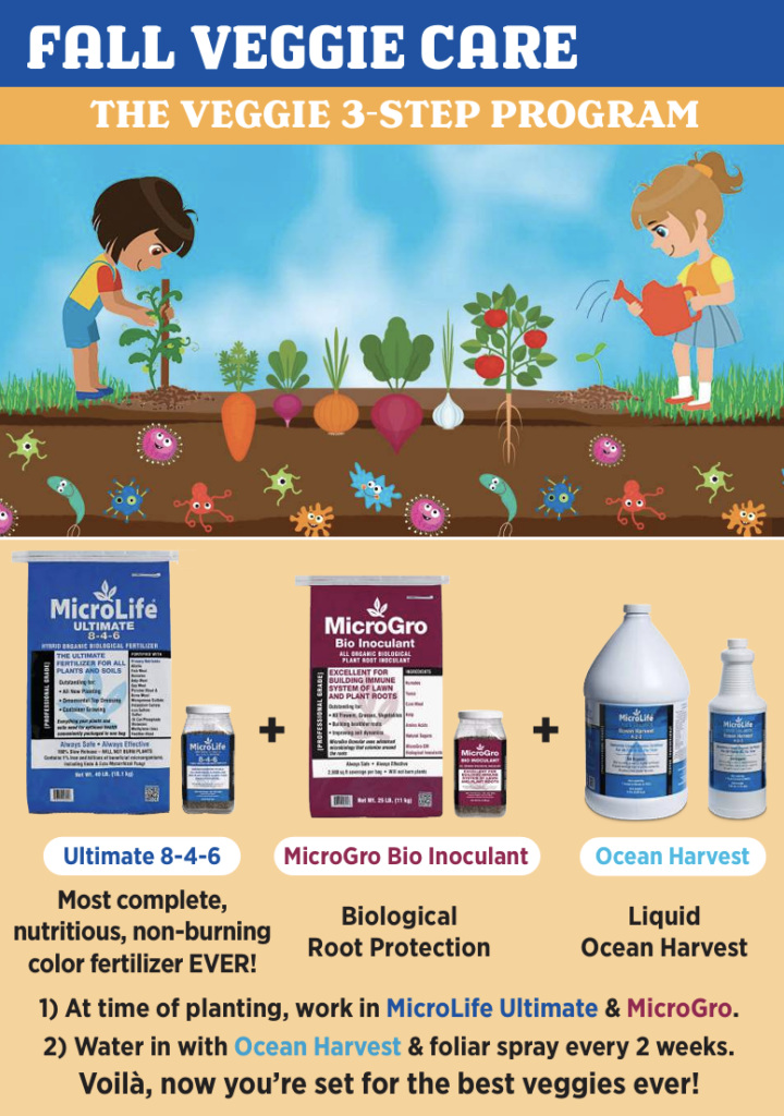 Fall Veggie Care Guide