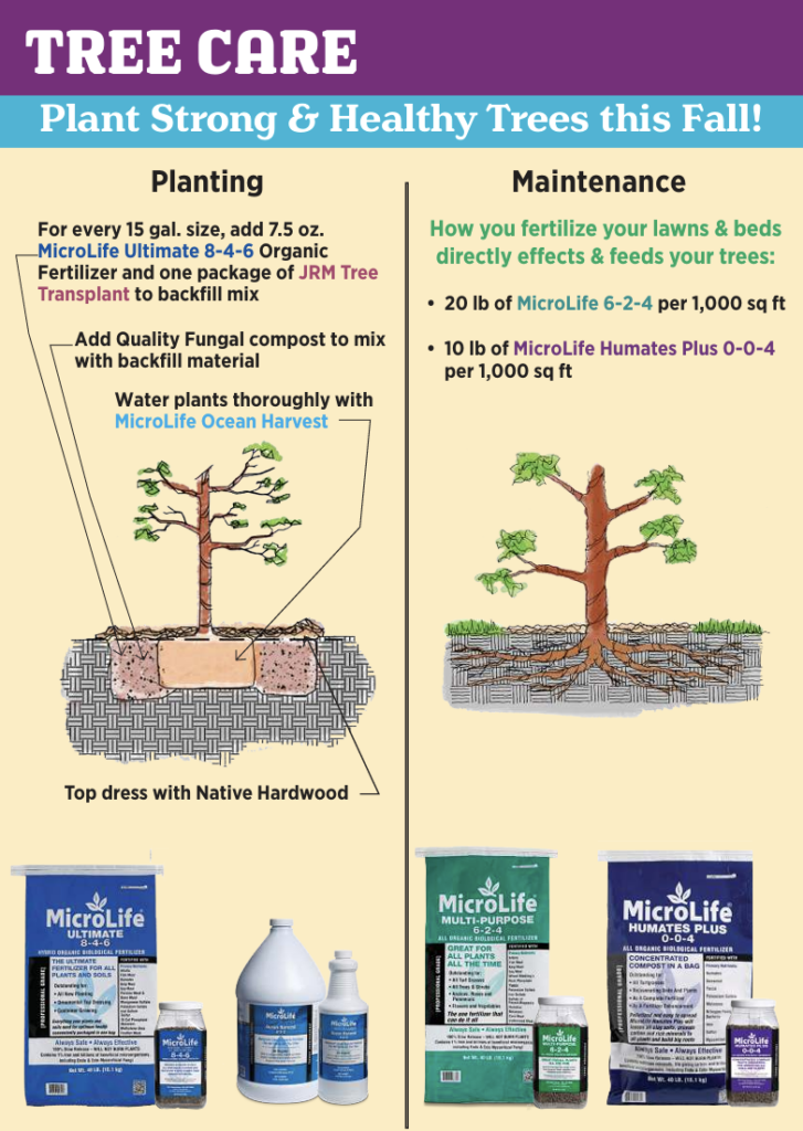 Tree Care Guide